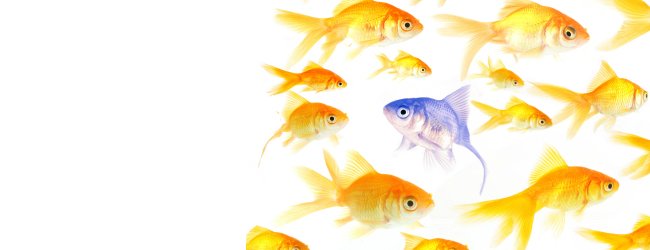 Photo from iStockPhoto